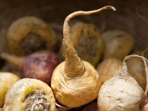 Maca This sweet root vegetables has been nicknamed Peruvian Viagra, and animal studies have indicated some aphrodisiac qualities, although this hasn’...