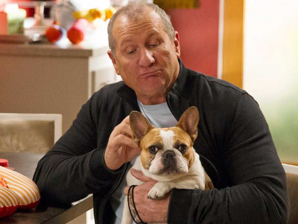 Stella Stella (Brigitte) is the French bulldog of the Pritchett family,
